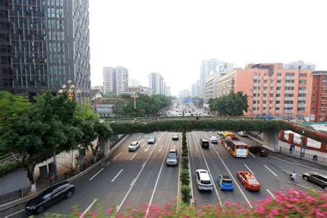 越秀區離哪個車站近 —— 探索交通便捷與地域發展之關係