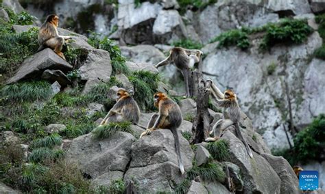 玉合公園裡的奇蹟與秘密